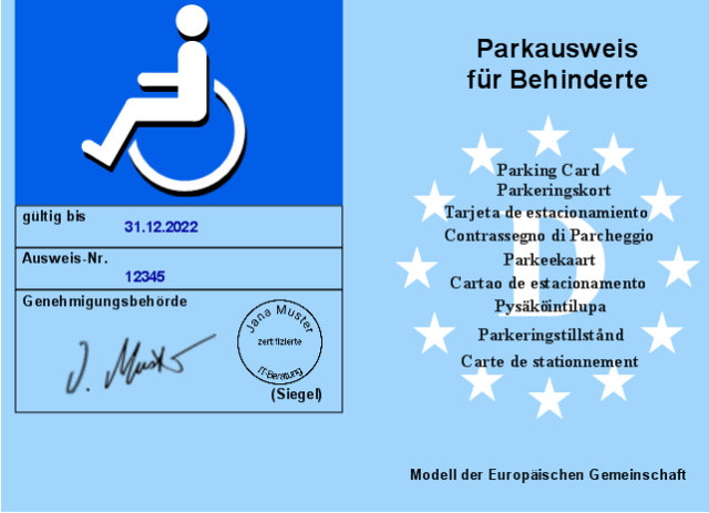 Parkausweis Rollstuhlparkplatz